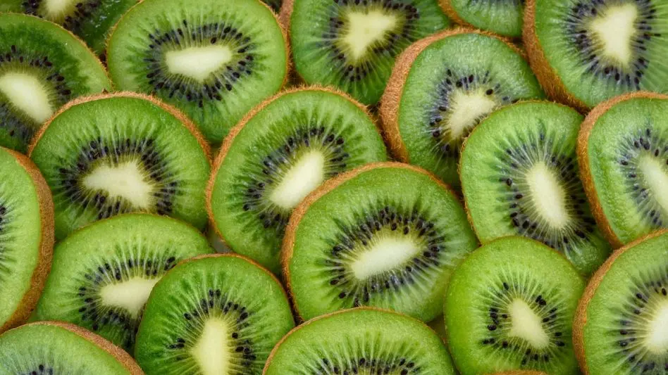 "El kiwi en Mar del Plata sigue ofreciendo todos los años un producto de alta calidad internacional"