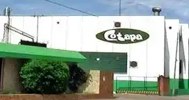 Cotapa suspendió su producción