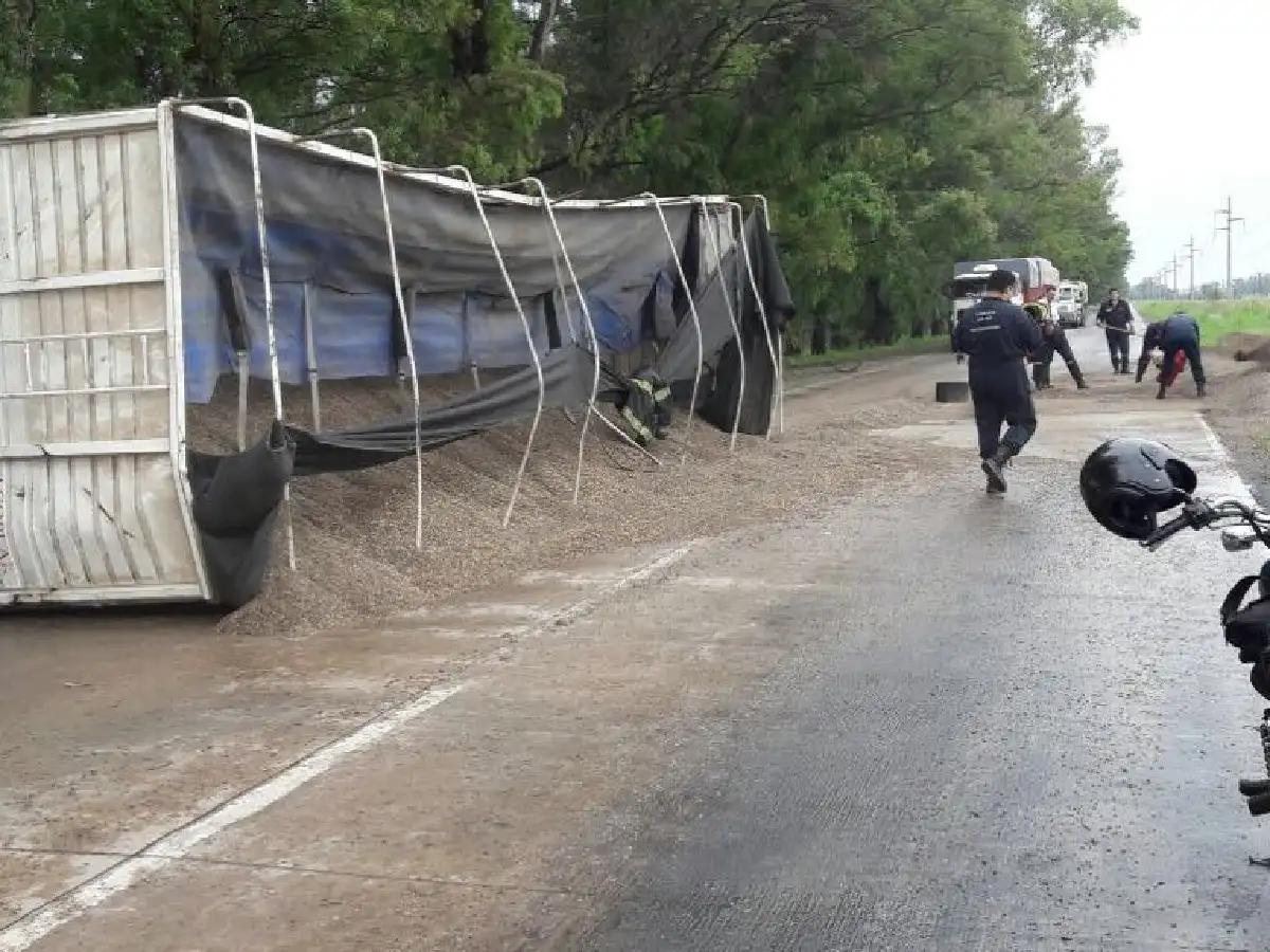 Caída de un eucalipto derivó en un accidente en  la ruta 1 en pleno temporal 