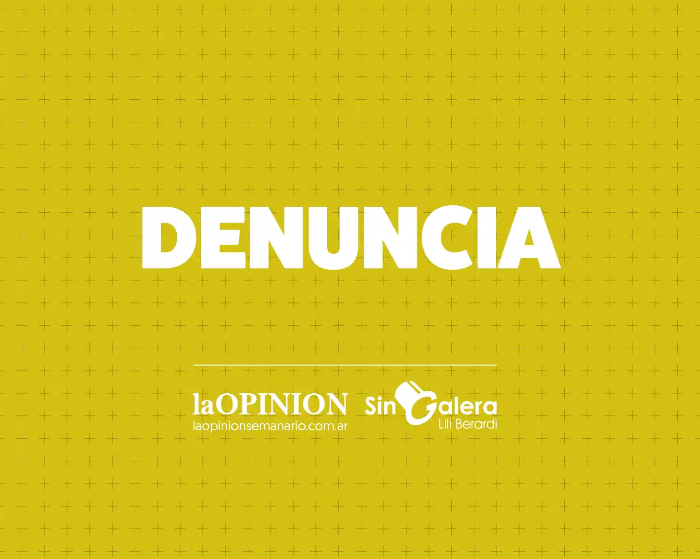 “La calle Don Segundo Sombra no es avenida,  me pasaron por arriba la gata”
