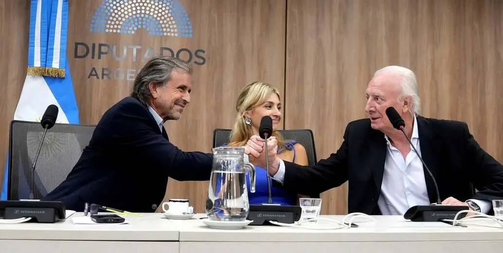Laura Rodríguez Machado volvió a quedar al mando de Legislación Penal. Crédito: HCDN.