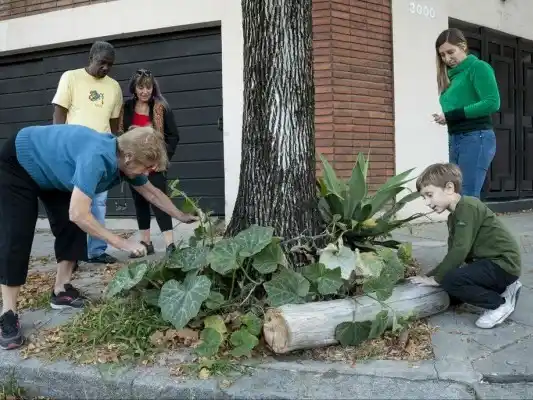 El rincón del jardinero - Tu jardín comienza en la vereda