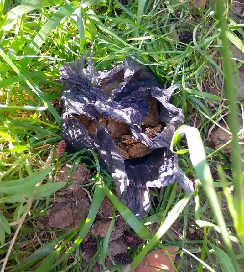 Secuestraron un revólver, marihuana y celulares en un operativo en barrio Mora - 3
