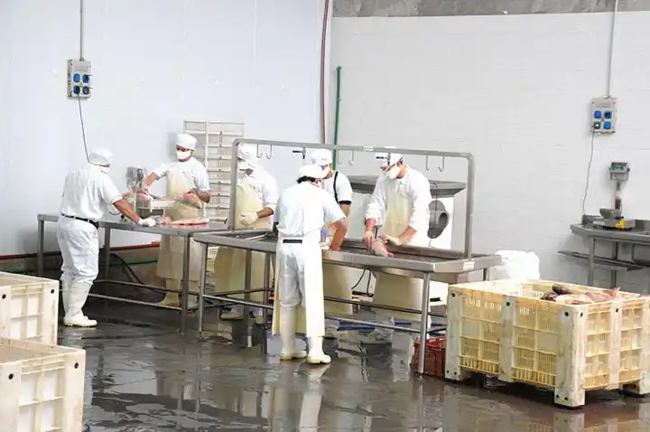 La Gobernación prometió que no autorizará nuevos frigoríficos o acopiadores de pescados