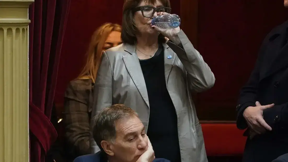 El Senado debatirá la reforma de la Ley de Salud Mental, que habilita internaciones involuntarias