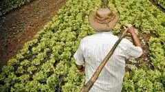 En el día del agricultor, honraron a todos los que ponen la comida sobre la mesa 