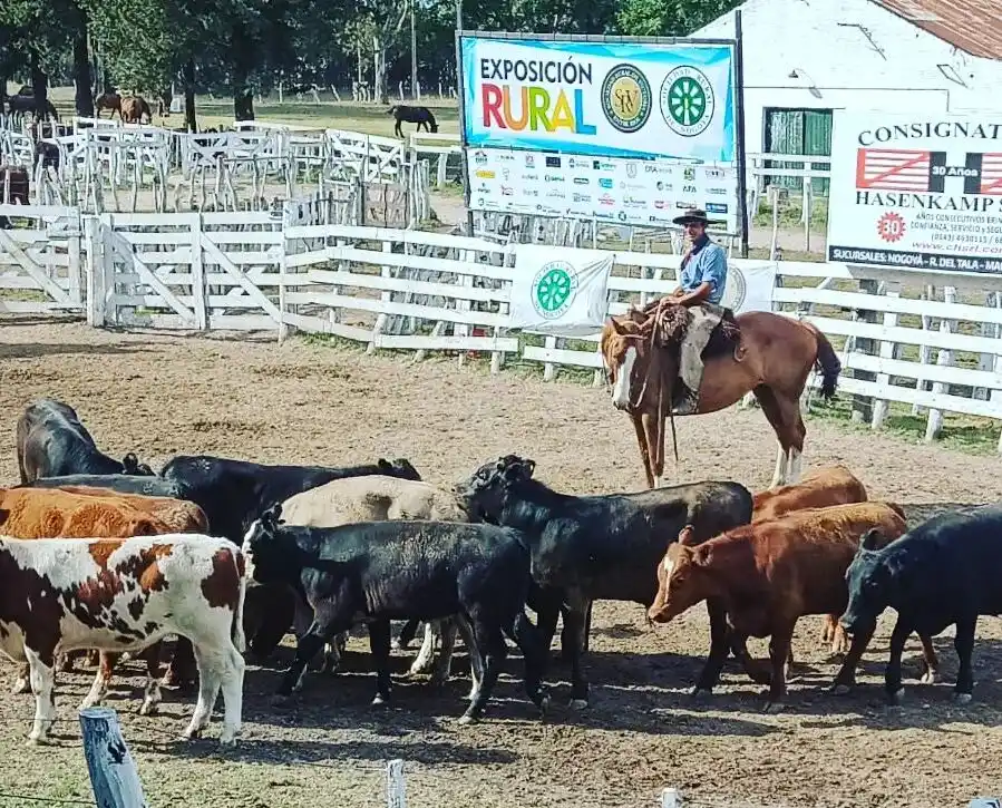 Novedades en la antesala de la Expo Victoria Nogoyá 2022