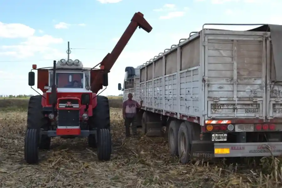 Sequía: en el sur provincial las pérdidas en la cosecha de soja y maíz serán históricas