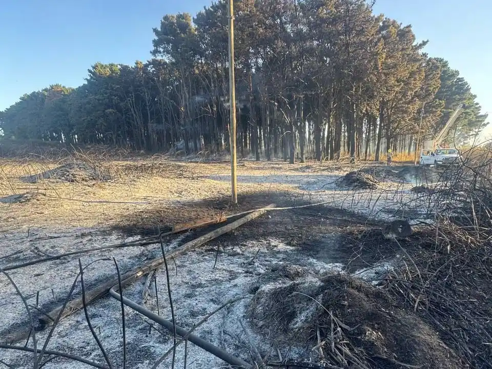 Desde la Usina indicaron que el operativo demandó un importante despliegue debido a la magnitud de los daños ocasionados por el incendio.