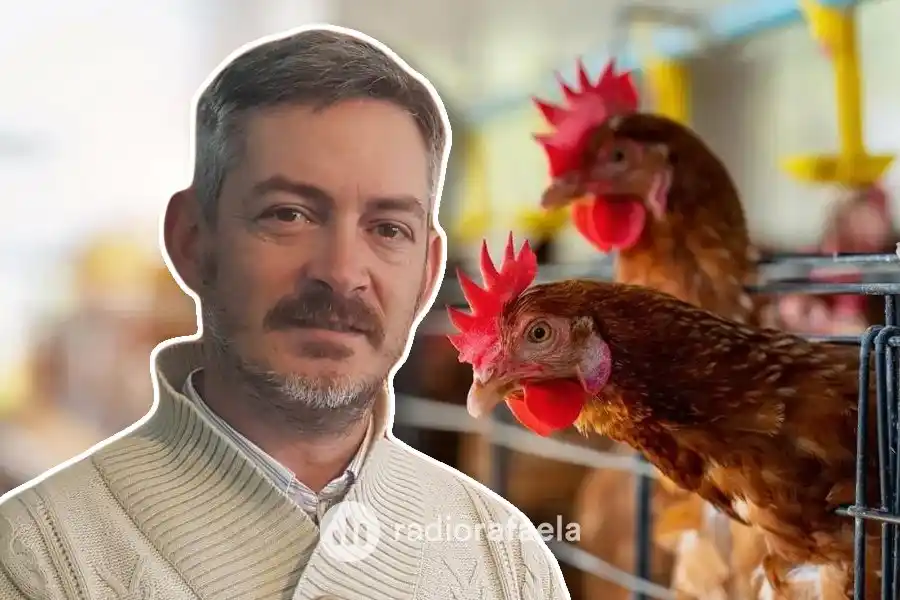 Gripe aviar en Santa Fe: "Llamamos a la población a tener recaudos en sus crianzas particulares"