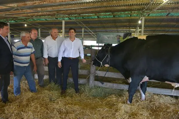Comenzó la ExpoSuipacha 2014