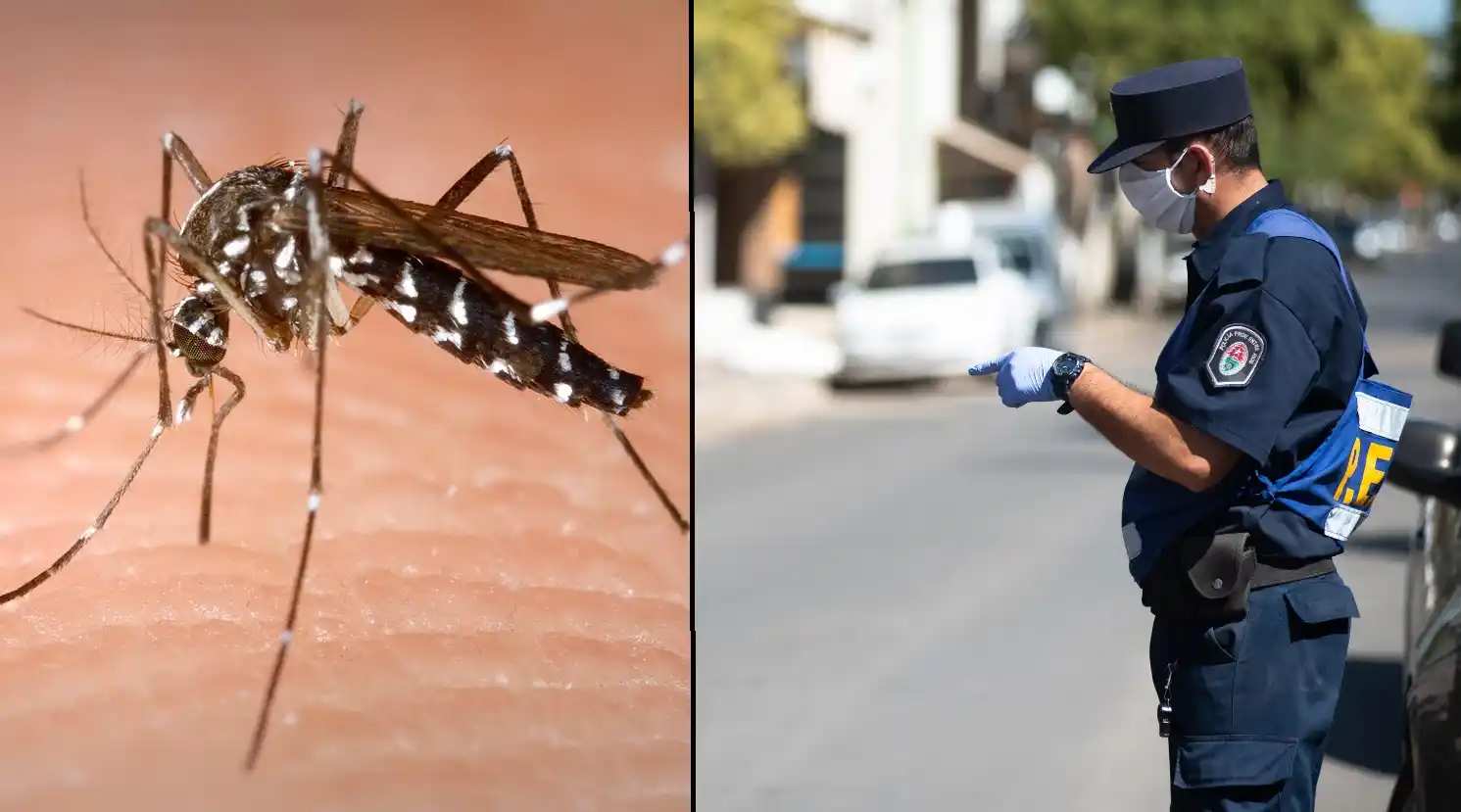 Las enfermedades que preocupan a la ciudad