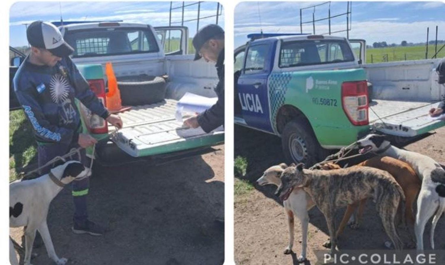 Uno de ellos fue sorprendido en un establecimiento rural de Loma Negra