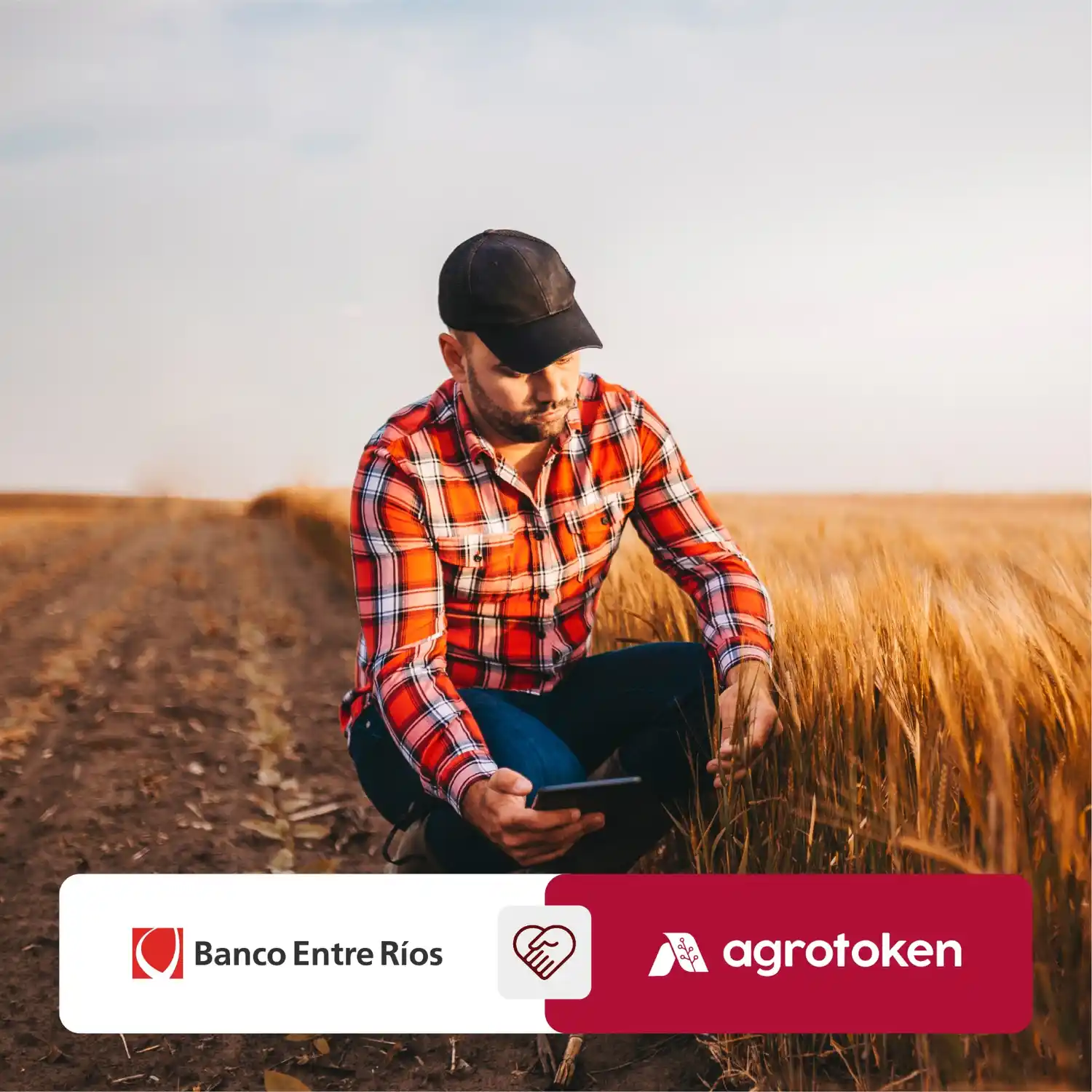 La tecnología blockchain llega al campo de la mano de Banco Entre Ríos y Agrotoken