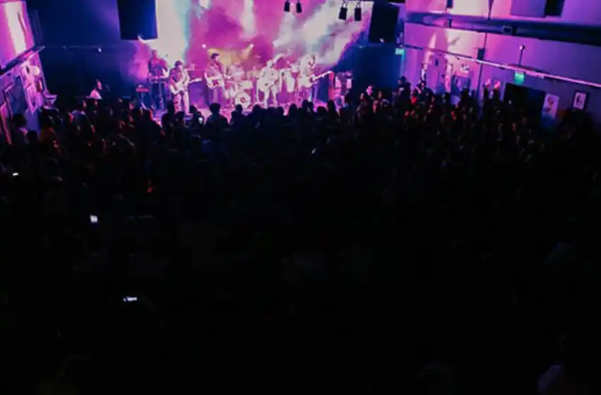 La referencia cultural platense “Ciudad de Gatos” llega a Mar del Plata