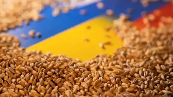 EMPUJA AL MUNDO A UNA CRISIS ALIMENTARIA: Rusia suspende acuerdo de cereales ucranianos