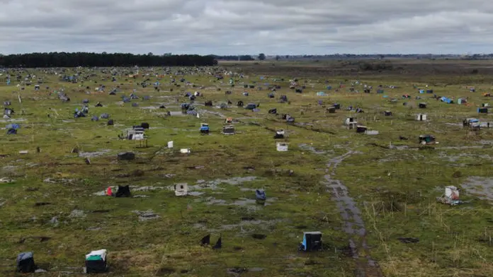 Existen 80 tomas de tierras judicializadas en la provincia de Buenos Aires
