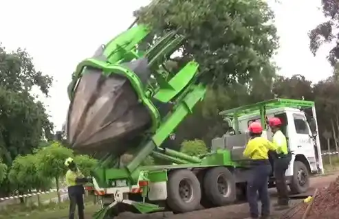 VIDEO: Mirá la máquina que transplanta árboles sin dañarlos