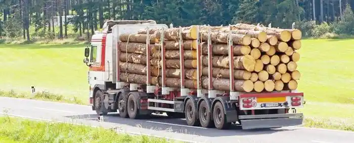 Rotman pide que ponga en vigencia una ley sobre transporte de productos forestales