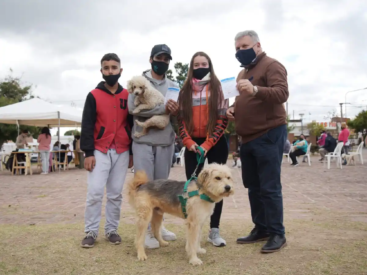 Campaña antirrábica: Arroyito ya lleva  vacunados más de 1.300 animales           