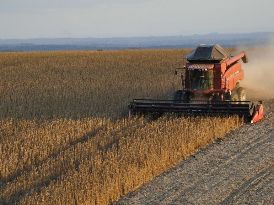 Referentes del sector agropecuario advierten que la medida impactará en otras cadenas productivas.
