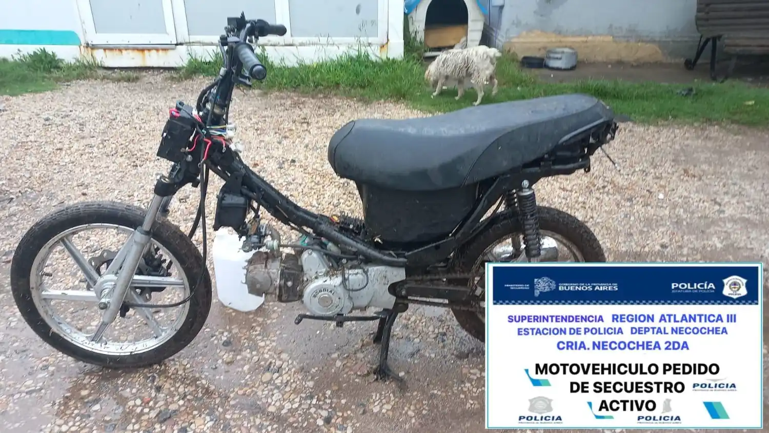 Rodado. Fue sustraído hace 4 días en Necochea y se lo recuperó ayer en un sector de Quequén