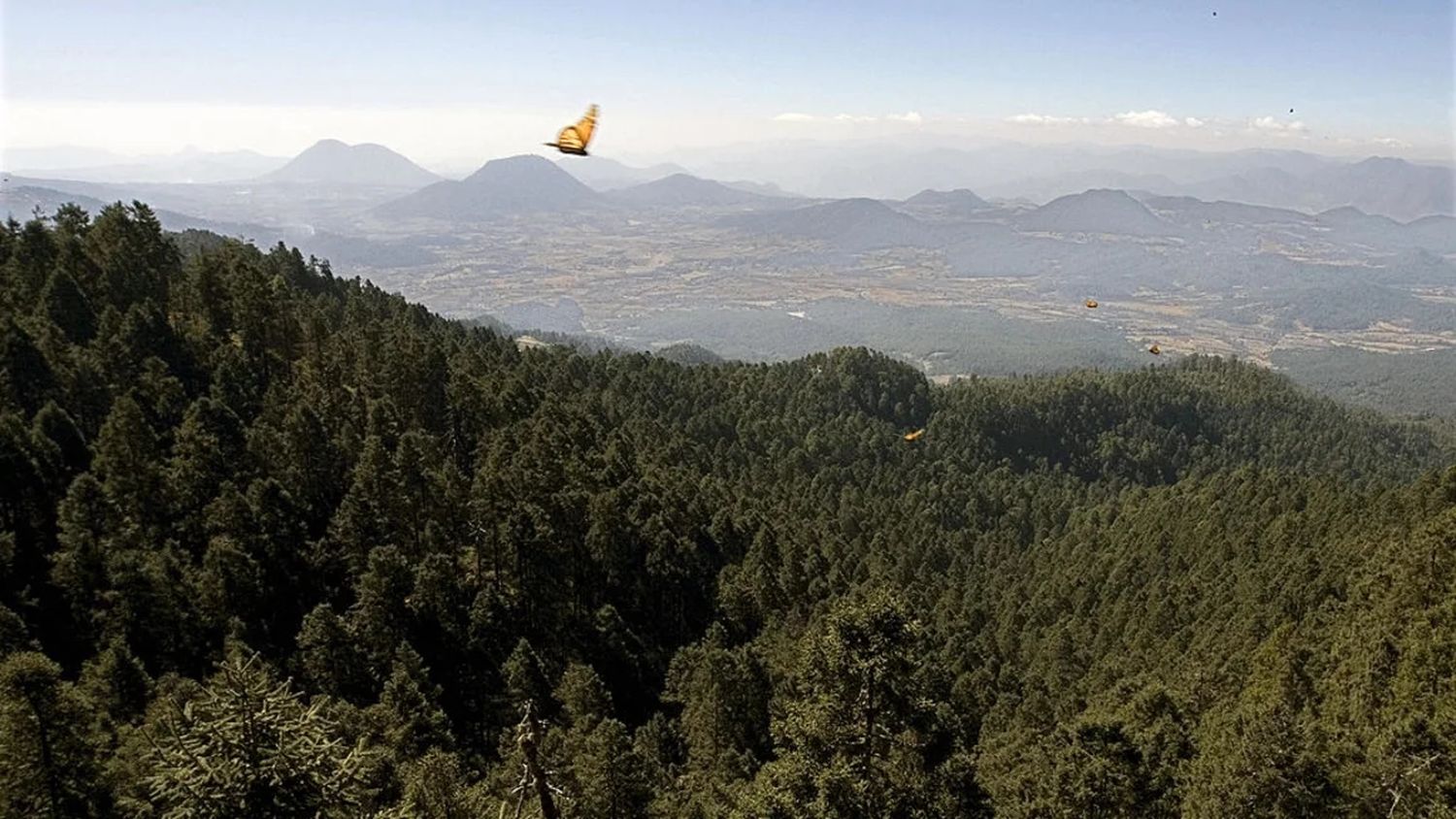 La temporada en San Luis “es más auspiciosa de lo que se esperaba”