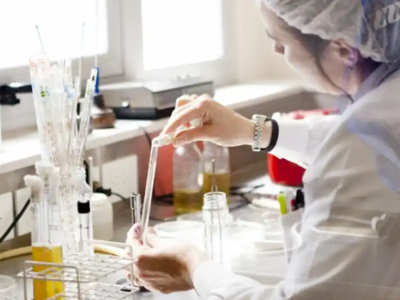 El Gobierno liberó la importación de vacunas contra enfermedades bovinas