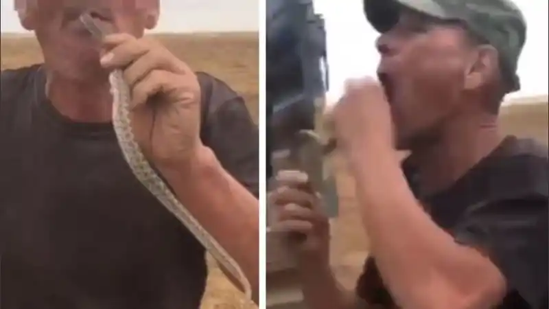 Para impresionar metió una serpiente en su boca, lo mordió en la lengua y murió