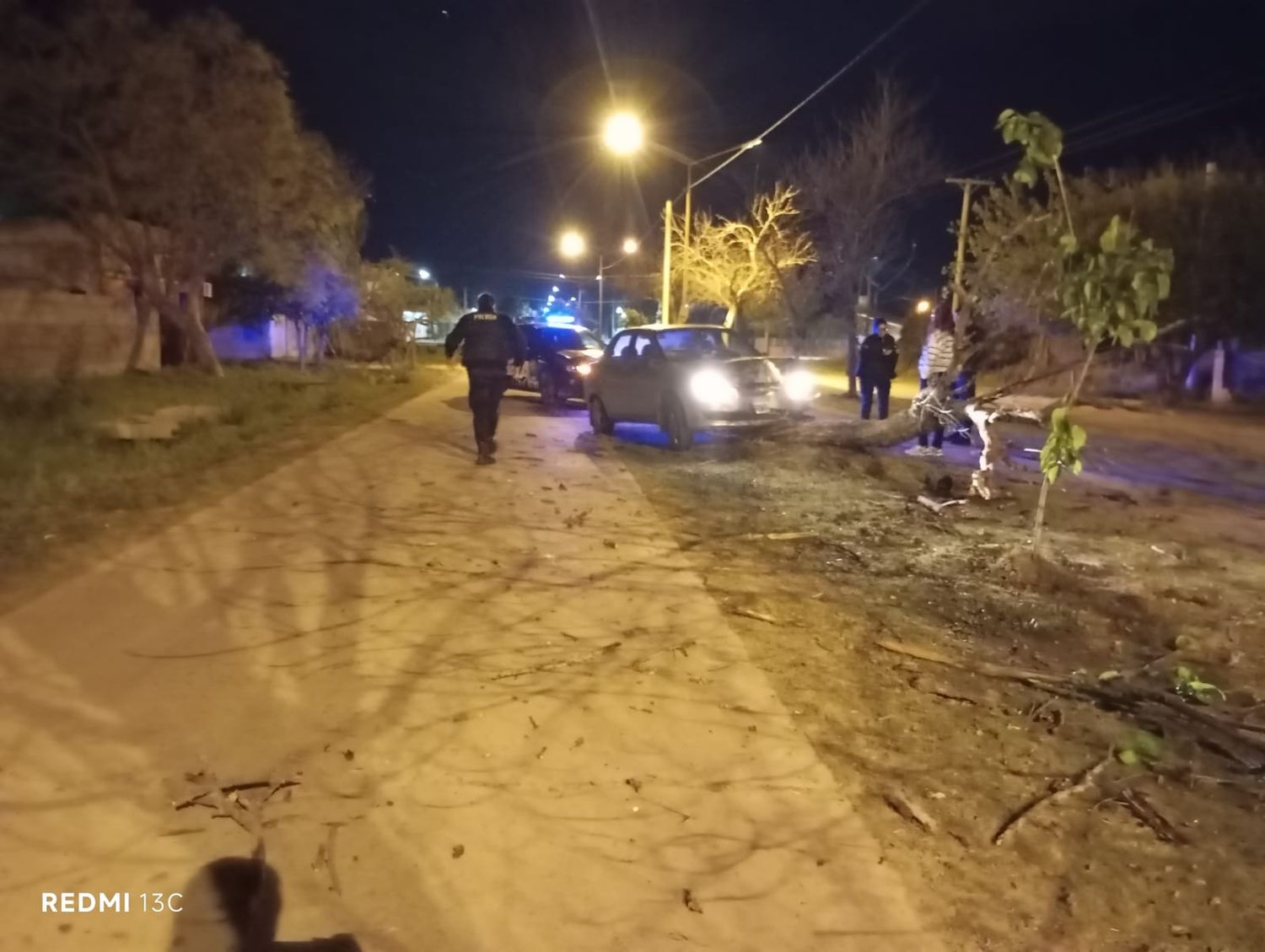 Despistó con el auto y derribó un árbol tras un fuerte choque