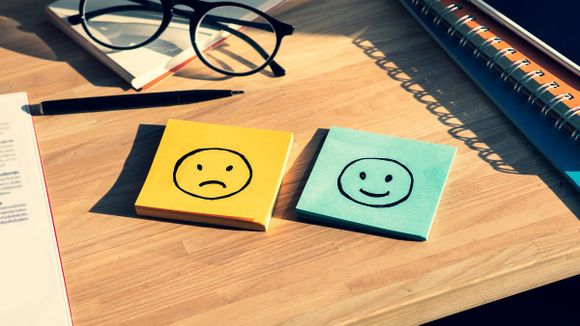 INTELIGENCIA EMOCIONAL: cómo gestionar el comportamiento y no morir en el intento