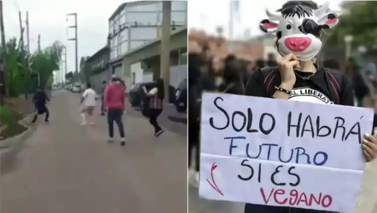 Video: Carniceros atacaron a trompadas a veganos que protestaban frente a un frigorífico en Monte Grande