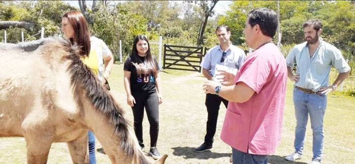 El centro de cuidados ecuestres entregó en adopción a dos equinos rescatados del maltrato