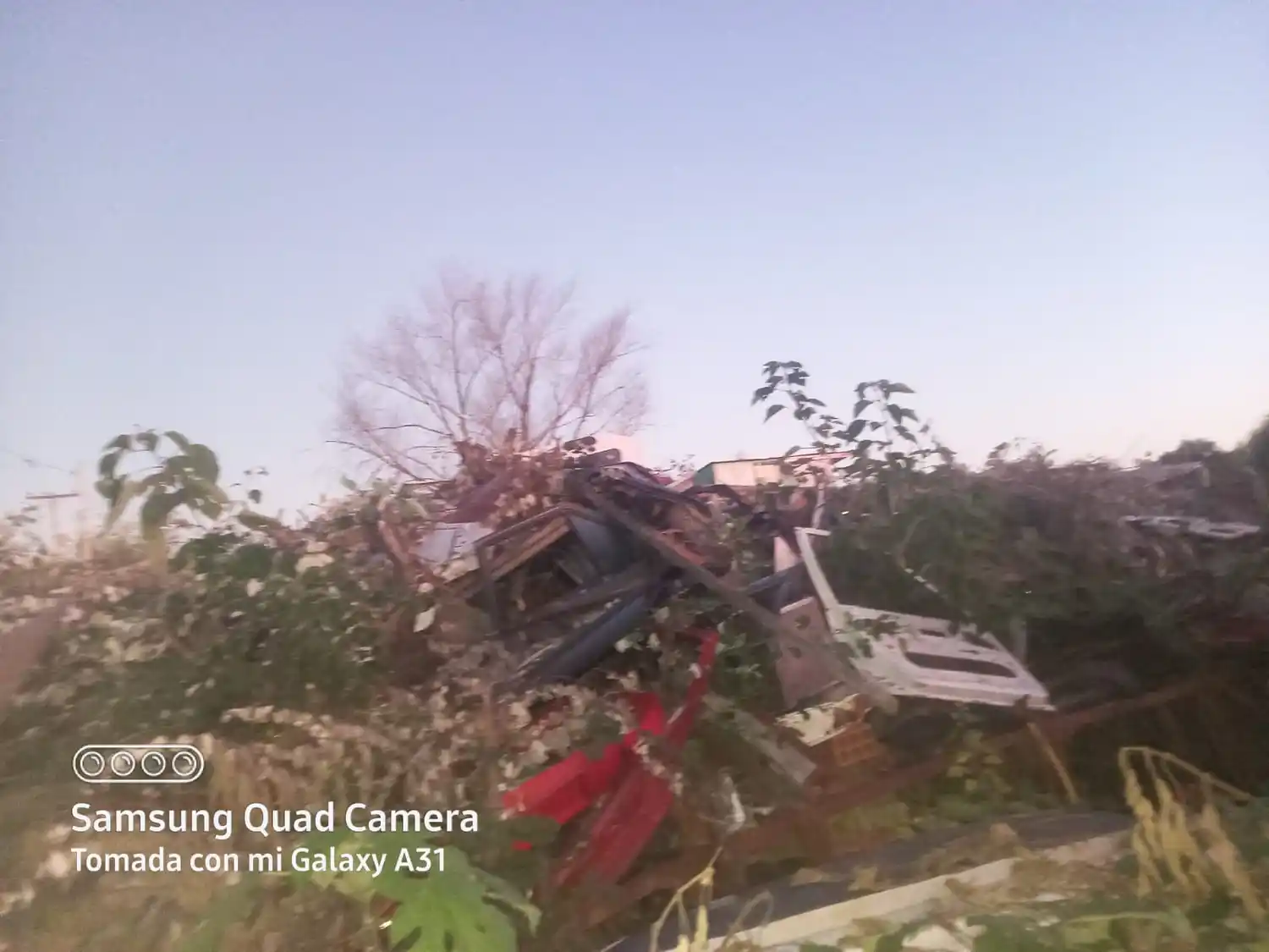 Reclamo: “No se puede vivir de la cantidad de ratas que salen”
