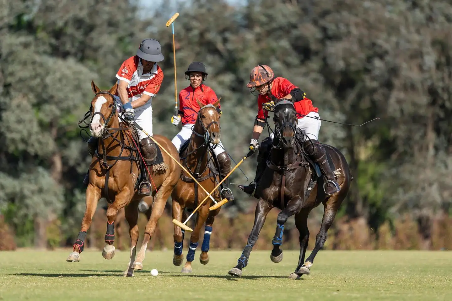 La Irenita, finalista en Hurlingham