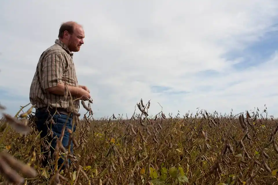 «Hay que dejar que algunos sectores desaparezcan», sostuvo Grobocopatel