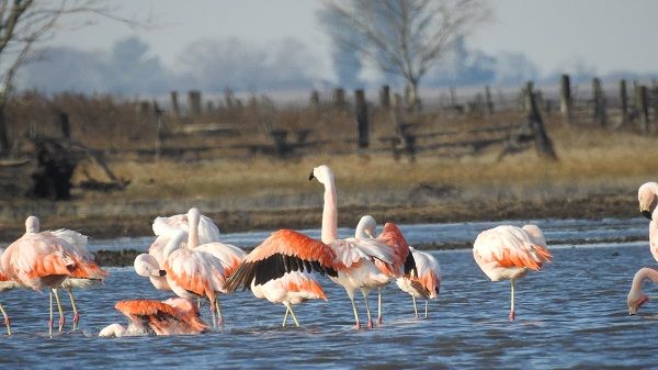 Microregión Lagunas del Sur