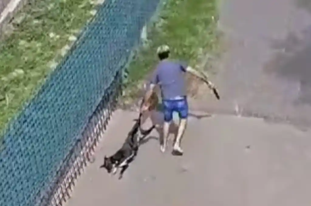 El tema tomó estado público debido al cruel video viralizado en las redes