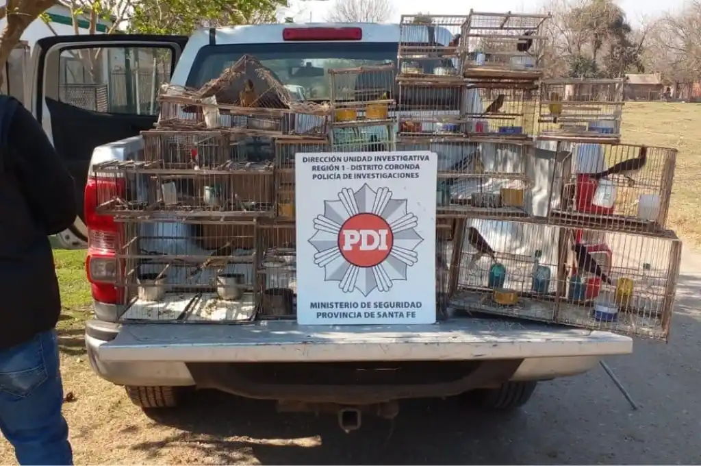 El procedimiento tuvo lugar en barrio Devoto.