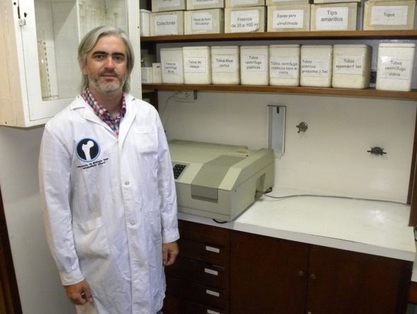Expertos del CONICET Rosario trabajan en el desarrollo de un nuevo tipo yerba que promete beneficios para la salud ósea