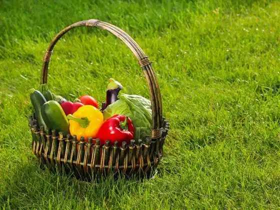 La dieta del 2