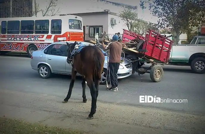 Periodistas por ElDía: Caballo se soltó del carro y generó un choque 
