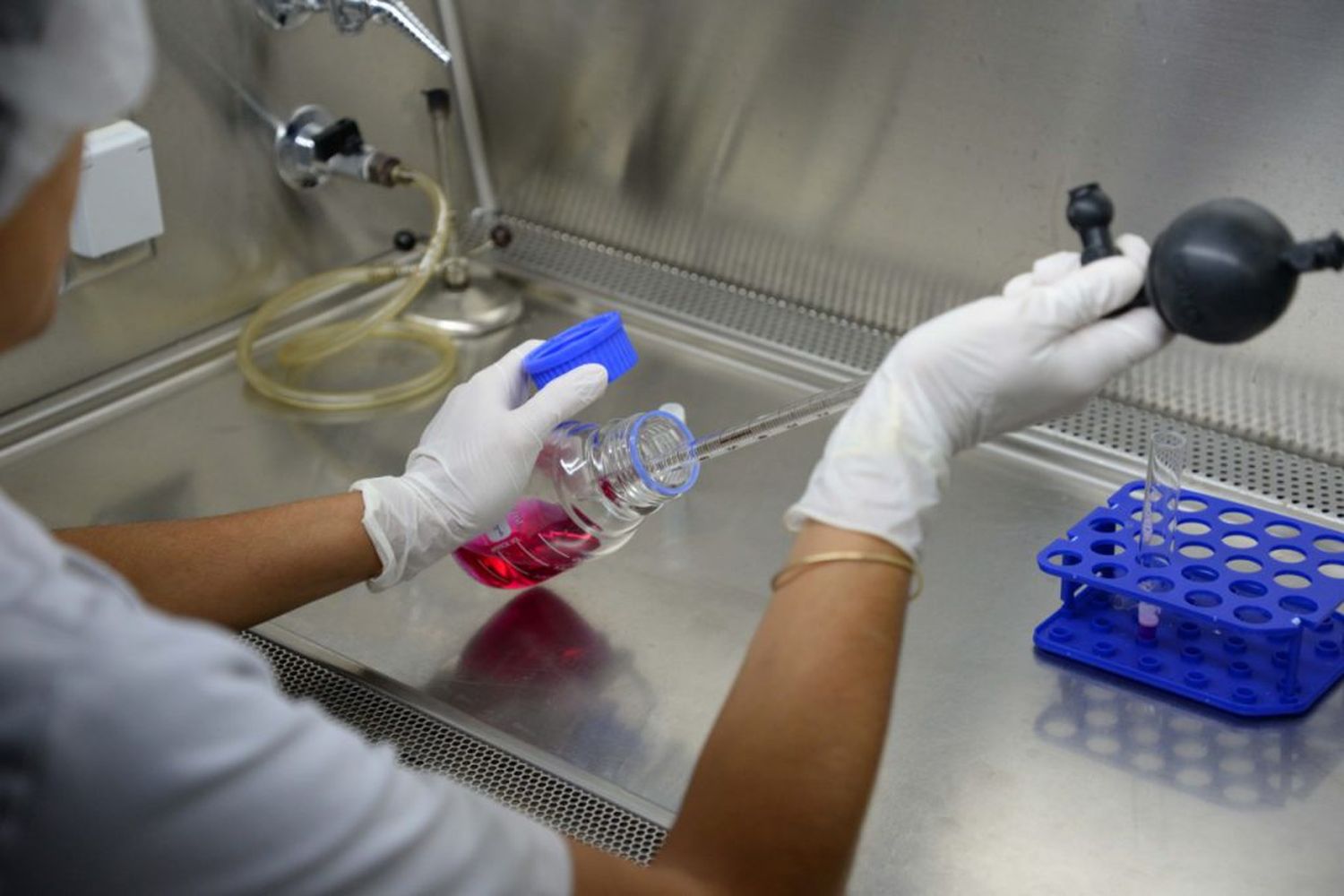 Científicas bonaerenses desarrollaron una sustancia que protege del Covid-19