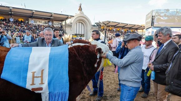 “Gente que había dejado la ganadería ahora quiere volver”