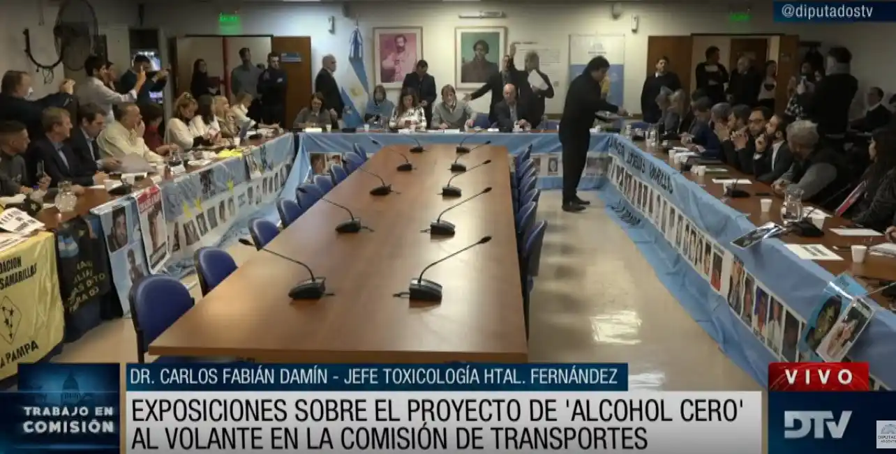 Diputados avanza en la Ley de alcohol cero al volante