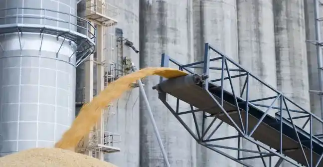 Molineros rechazan el fideicomiso para sostener el precio del trigo