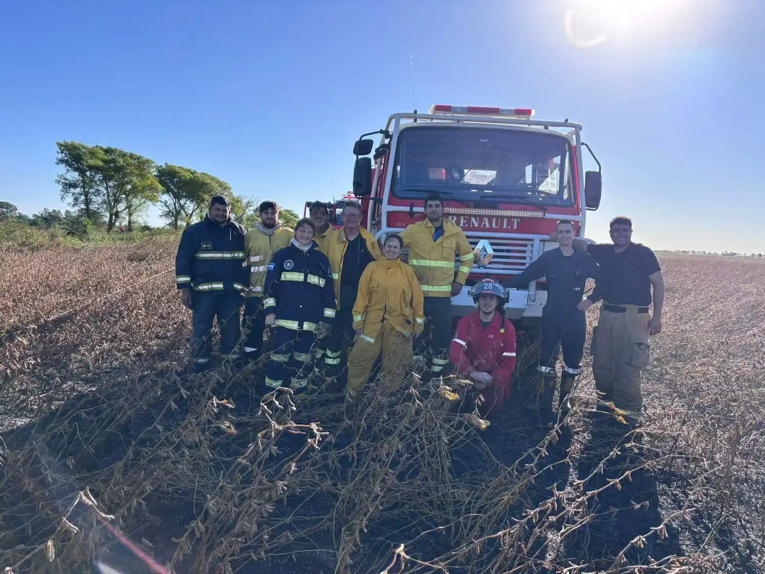 Cayó un poste eléctrico en un campo sembrado con soja y provocó un incendio - 3