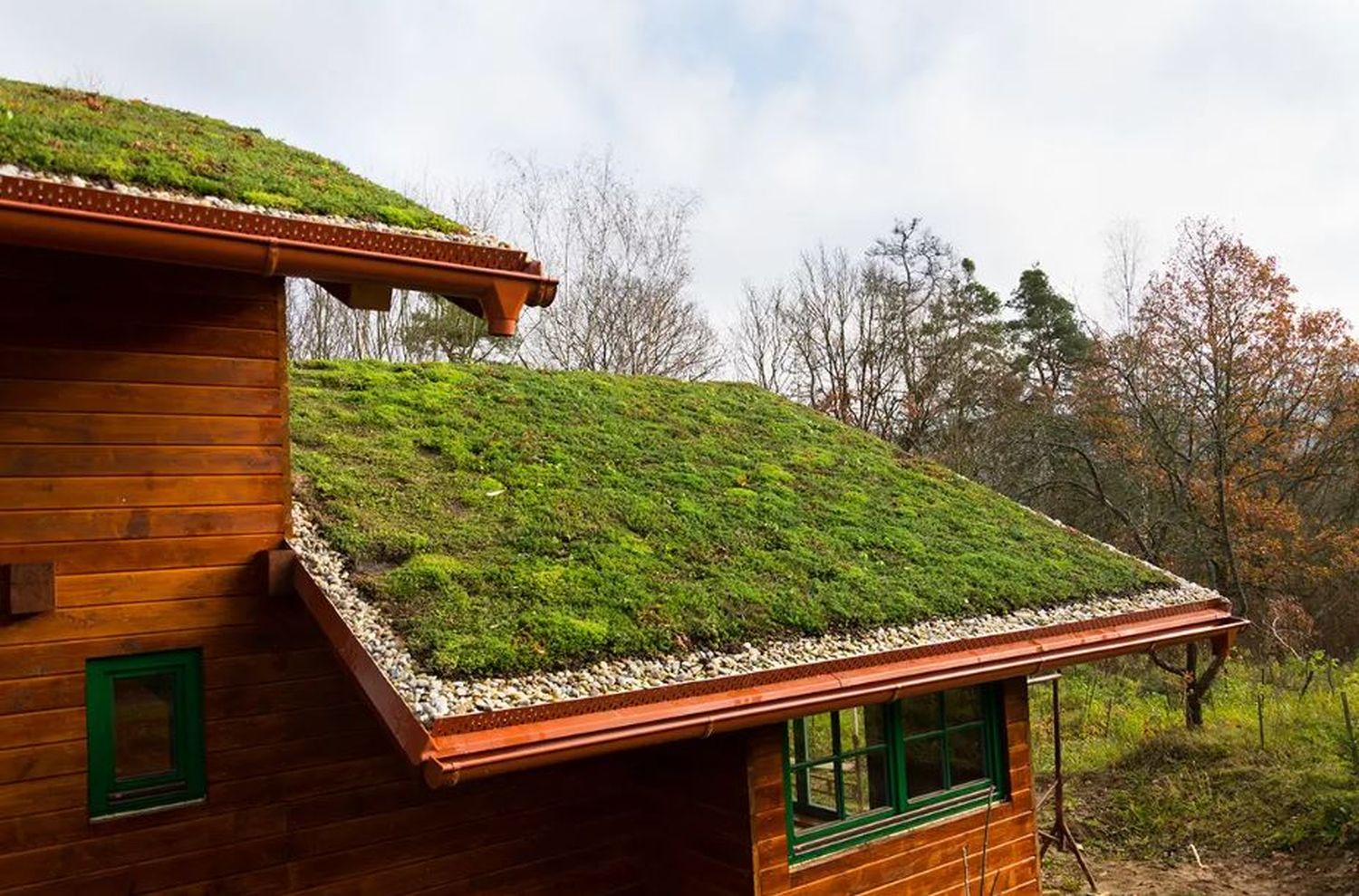Estudiantes diseñarán y construirán un techo verde en la Escuela Técnica Nº 3