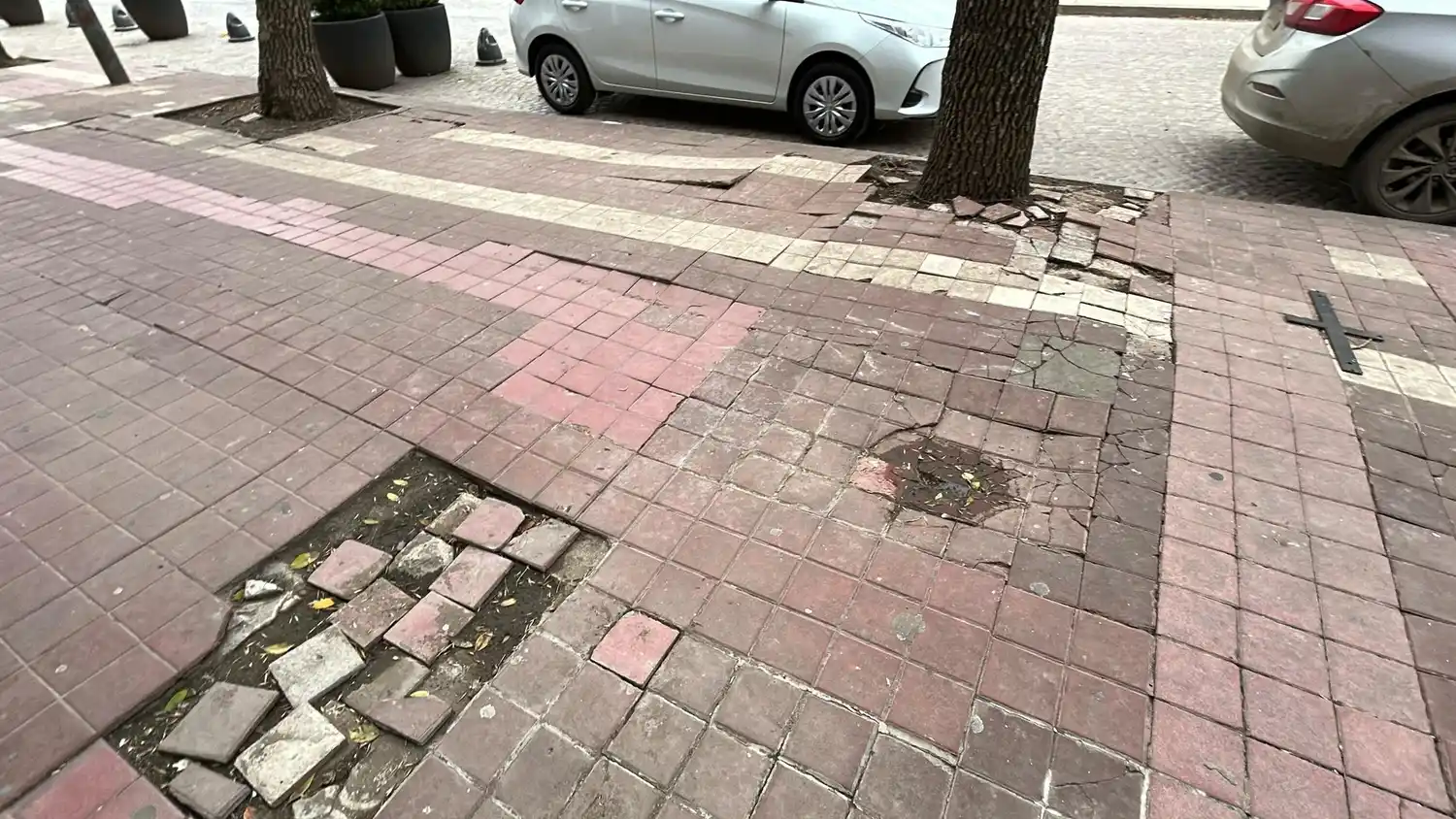 vereda rota bv santa fe centro rafaela municipalidad reparación rotura mayo 2025 - 8