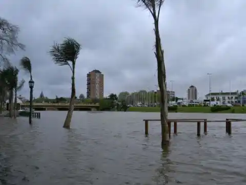 Inundados de Tigre marchan por la prohibición de nuevos barrios cerrados 